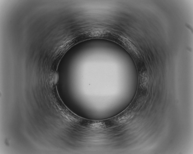 X0000097490505200802291436