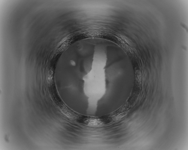 X0000097490507200802291436