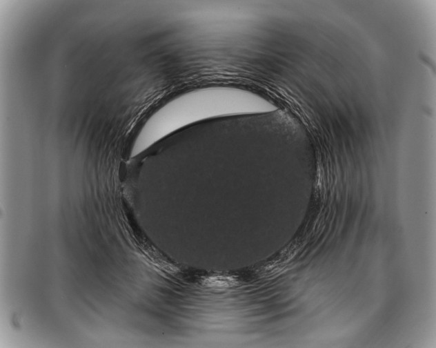 X0000097490508200802291436