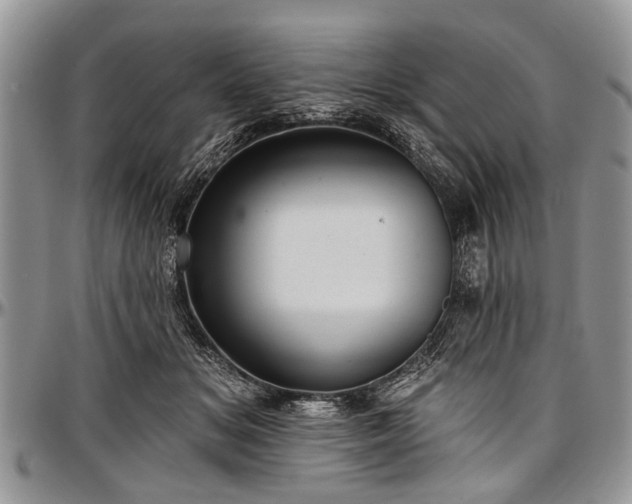 X0000097490509200802291436