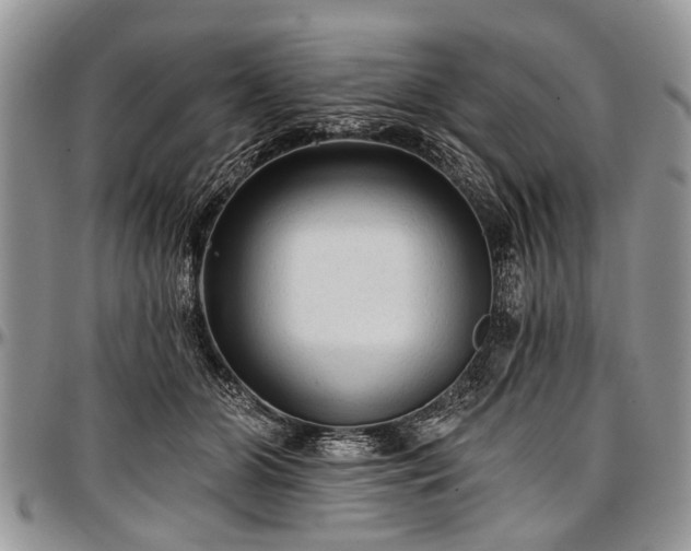 X0000097490510200802291436