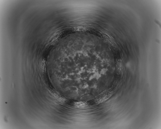 X0000097490511200802291436