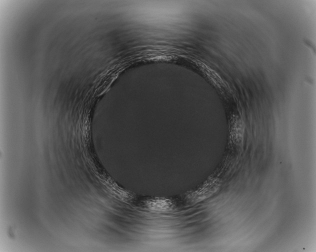 X0000097490513200802291436