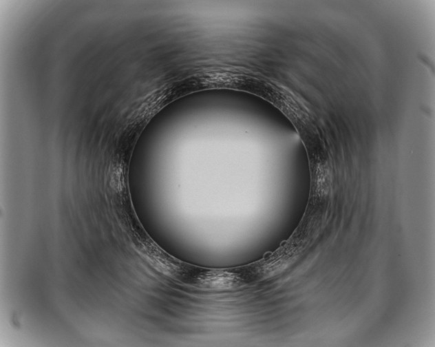 X0000097490514200802291436