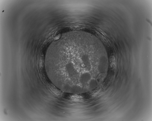 X0000097490515200802291436