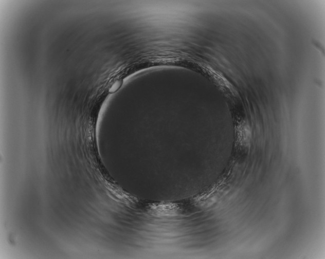 X0000097490517200802291436