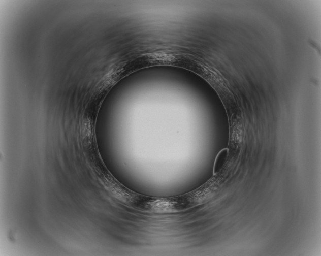 X0000097490518200802291435