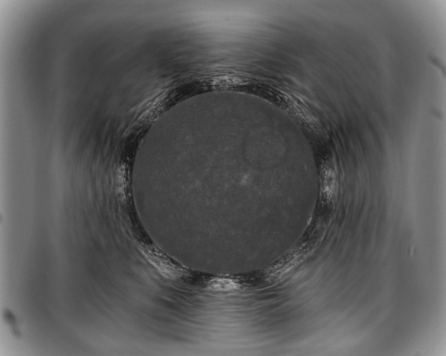 X0000097490519200802291435