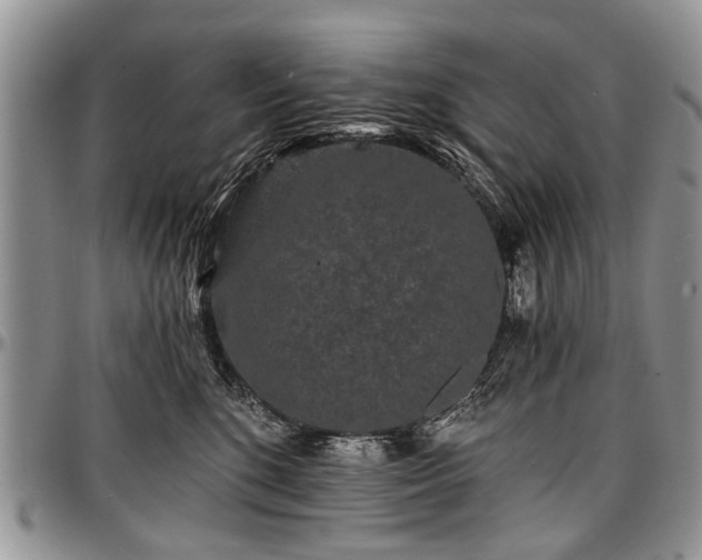 X0000097490520200802291435