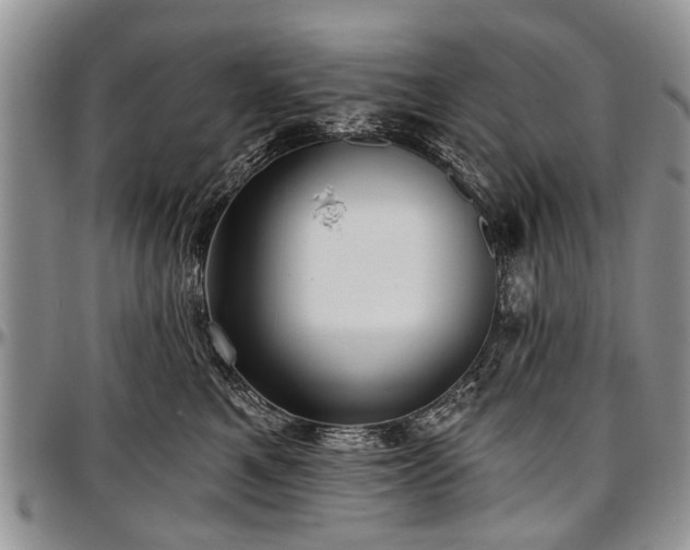 X0000097490521200802291435