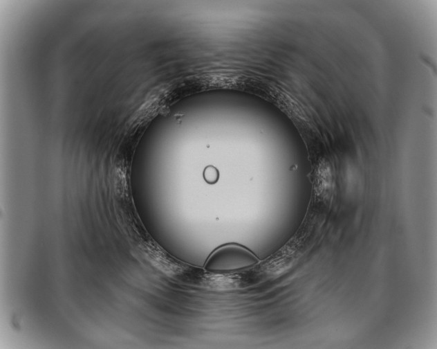 X0000097490522200802291435