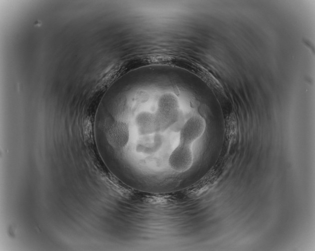 X0000097490523200802291435