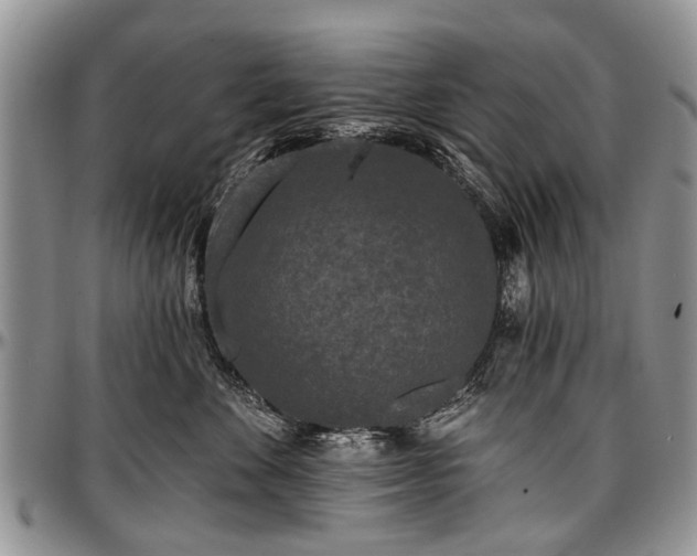 X0000097490524200802291435