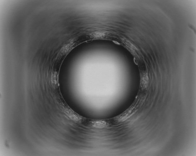 X0000097490525200802291435