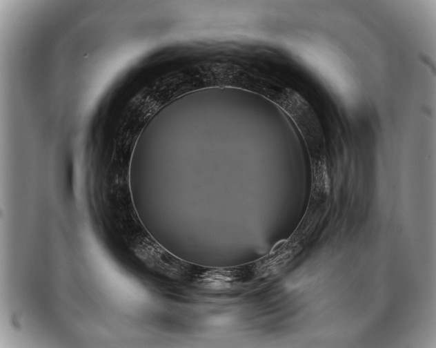 X0000097490526200802291435