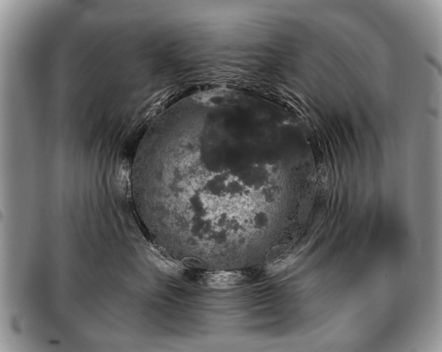 X0000097490527200802291435