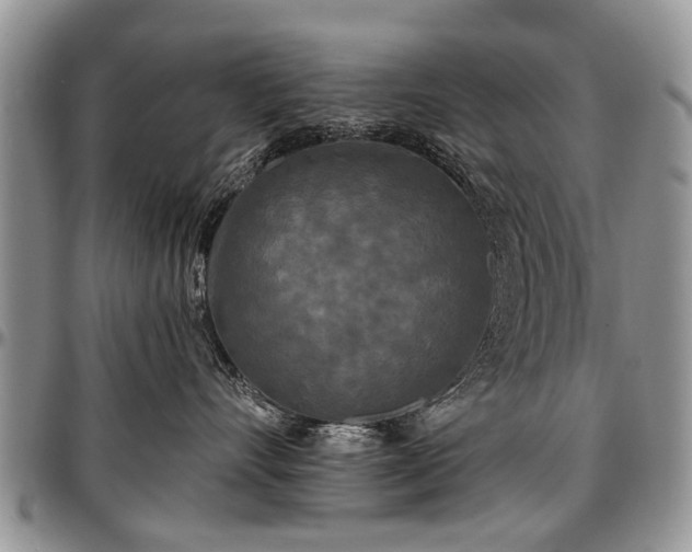 X0000097490528200802291435