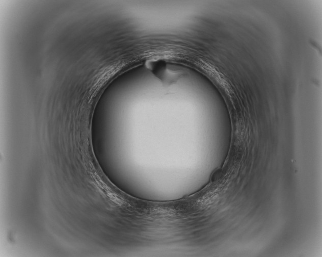 X0000097490529200802291435