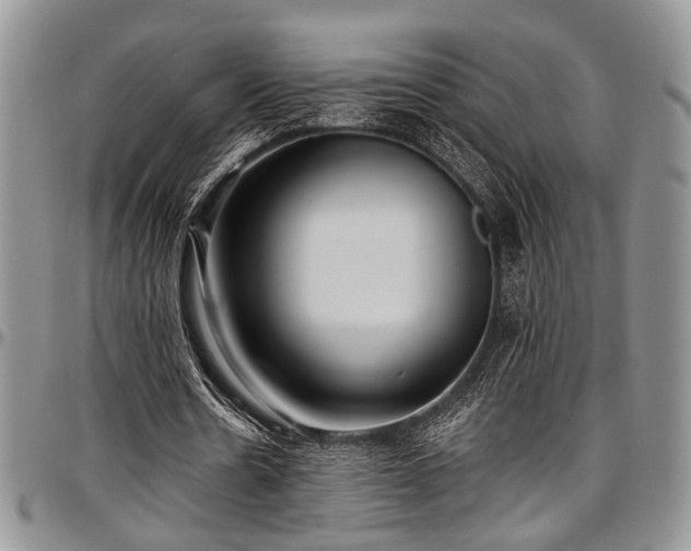 X0000097490530200802291435