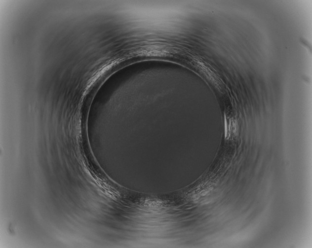 X0000097490531200802291435