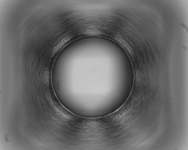 X0000097490533200802291435