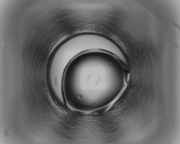 X0000097490534200802291435