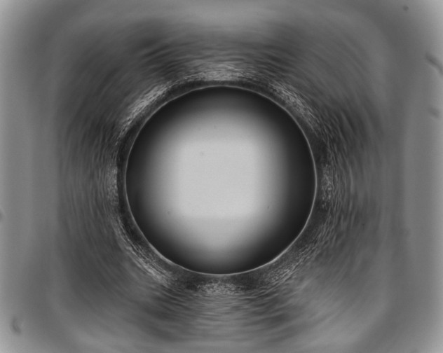 X0000097490535200802291435