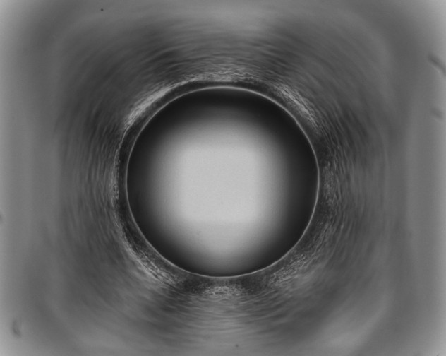 X0000097490536200802291435