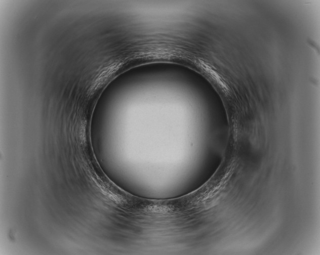 X0000097490537200802291435