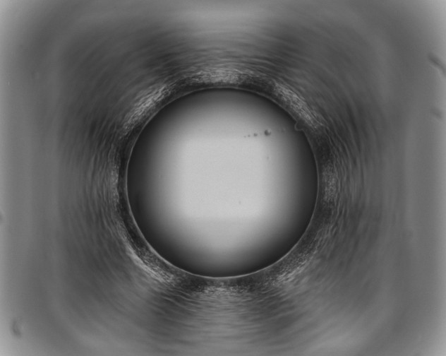 X0000097490538200802291435