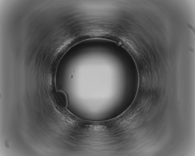 X0000097490539200802291435