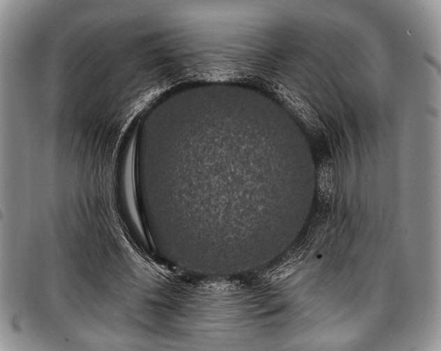 X0000097490540200802291435