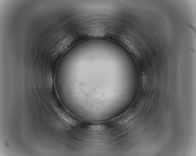 X0000097490541200802291435