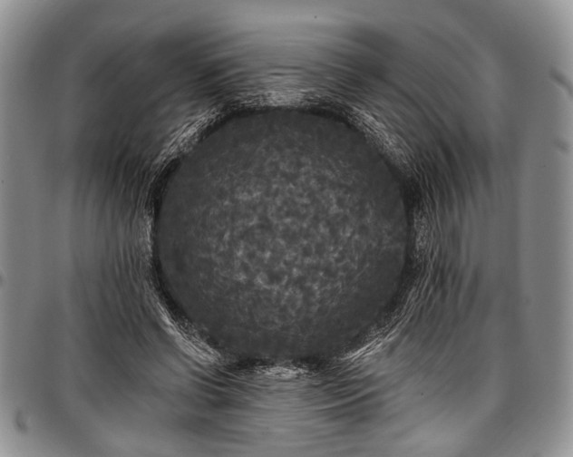 X0000097490542200802291435