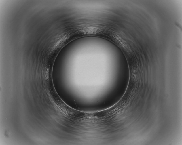 X0000097490543200802291435