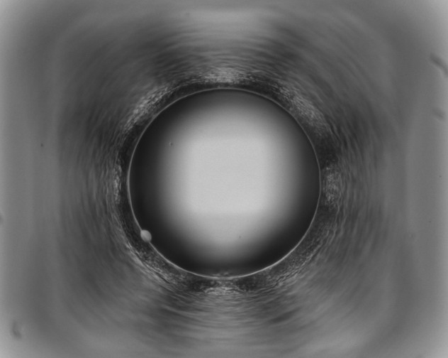 X0000097490544200802291435