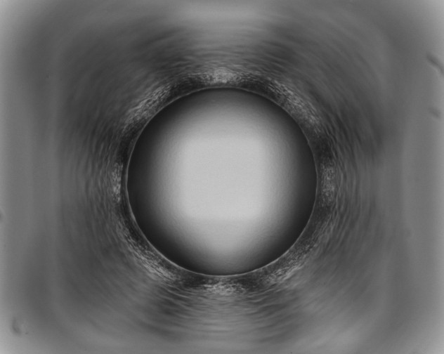 X0000097490545200802291435