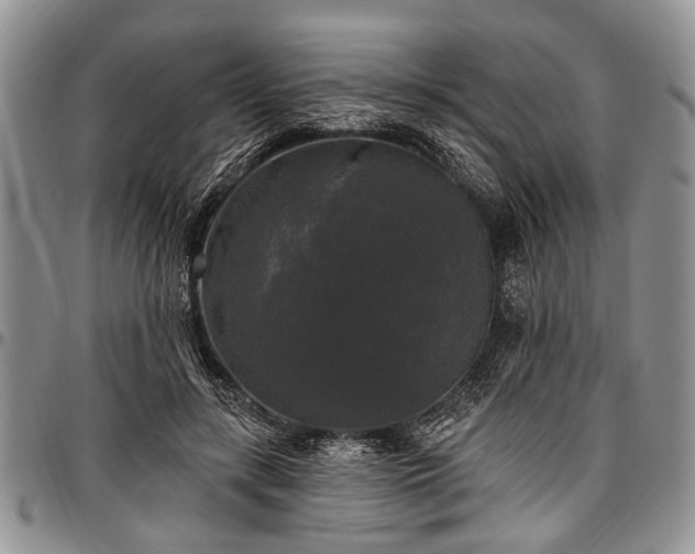 X0000097490547200802291435