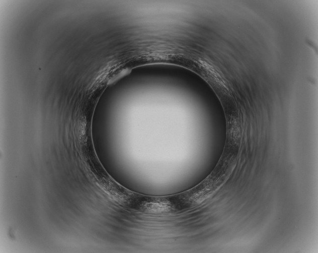 X0000097490548200802291435