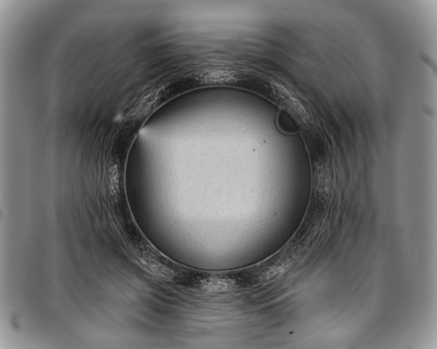 X0000097490549200802291435