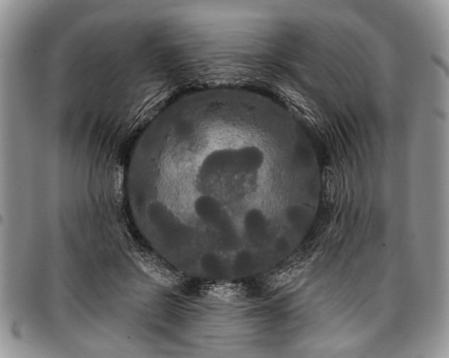 X0000097490550200802291435