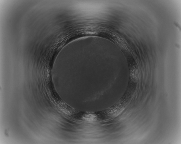 X0000097490551200802291435