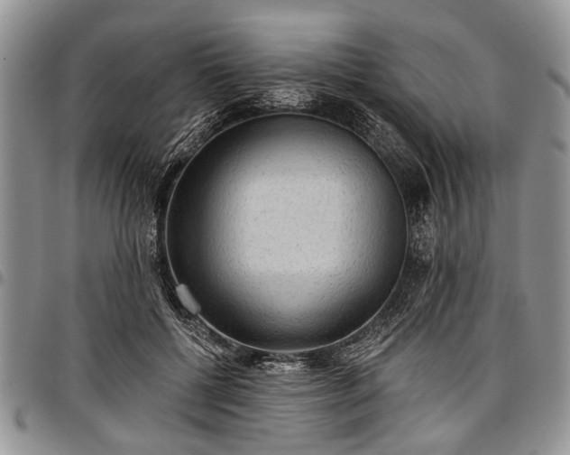 X0000097490552200802291435