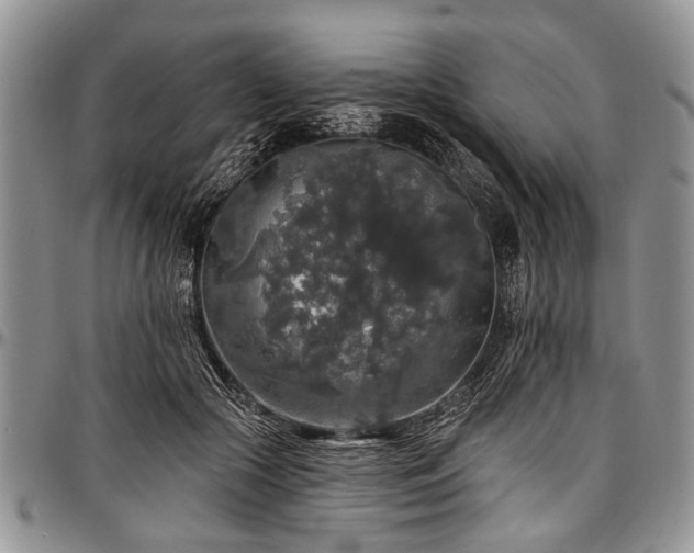 X0000097490553200802291435