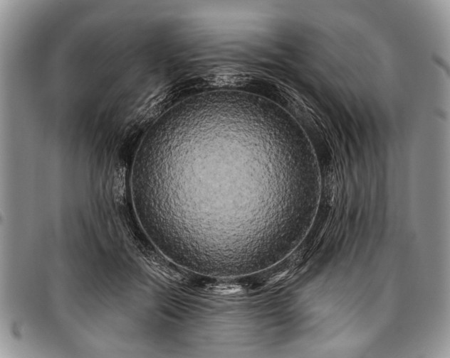 X0000097490554200802291435