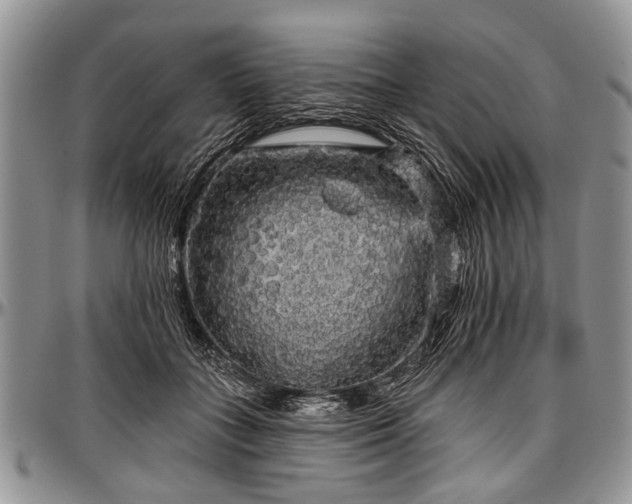 X0000097490555200802291435