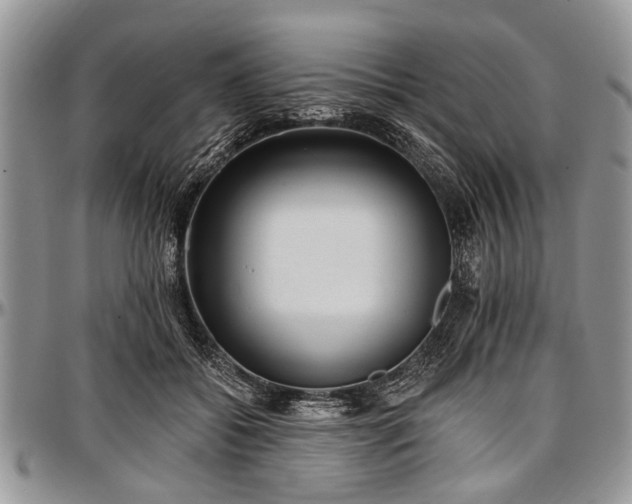 X0000097490556200802291435