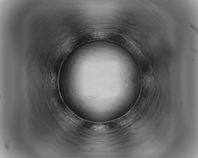 X0000097490557200802291435