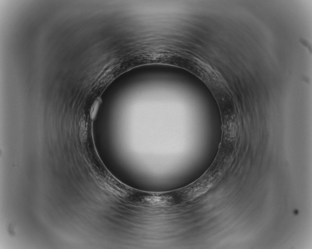 X0000097490558200802291435