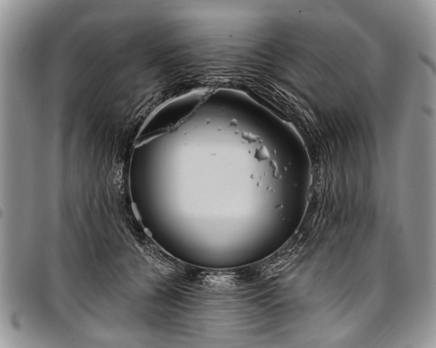 X0000097490560200802291435